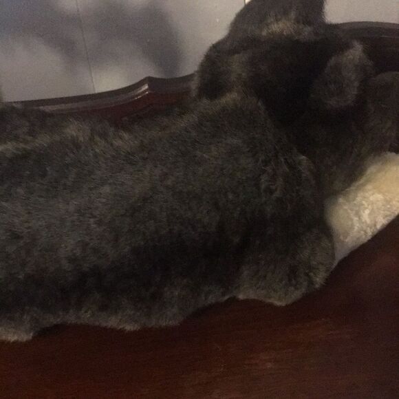 TY Husky Beanie Buddy  2003 - Picture 6 of 10